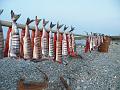 Wales-Nome 194
